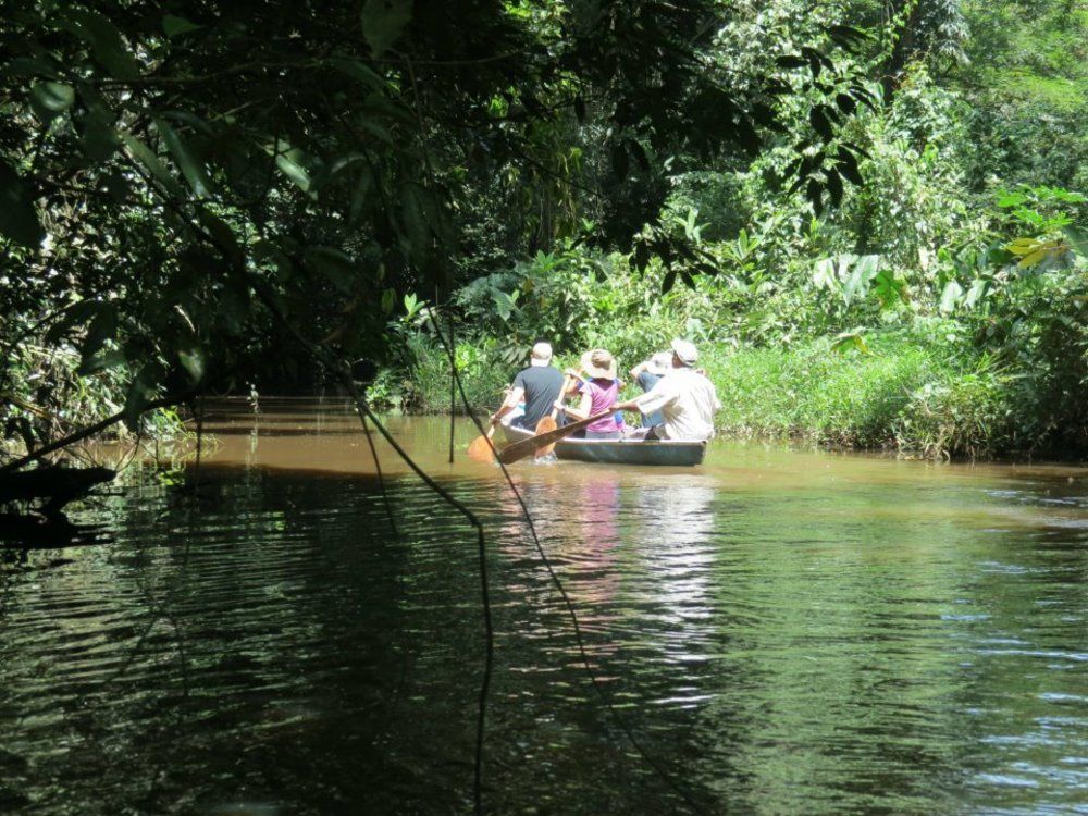 Miss Junies Lodge Tortuguero Exterior photo